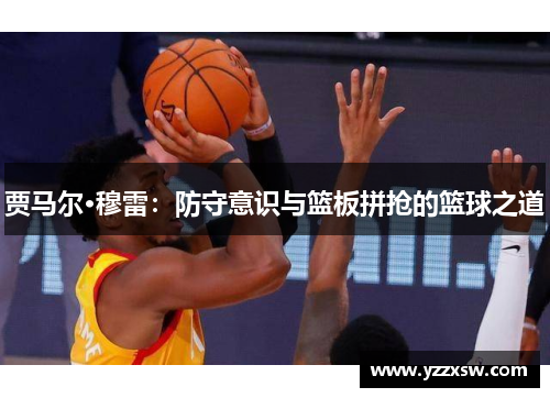 贾马尔·穆雷：防守意识与篮板拼抢的篮球之道