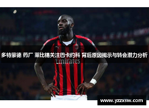 多特蒙德 药厂 莱比锡关注巴卡约科 背后原因揭示与转会潜力分析