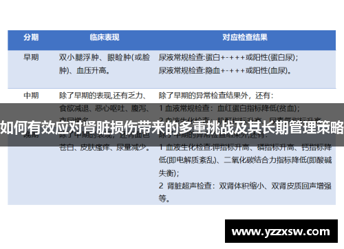 如何有效应对肾脏损伤带来的多重挑战及其长期管理策略